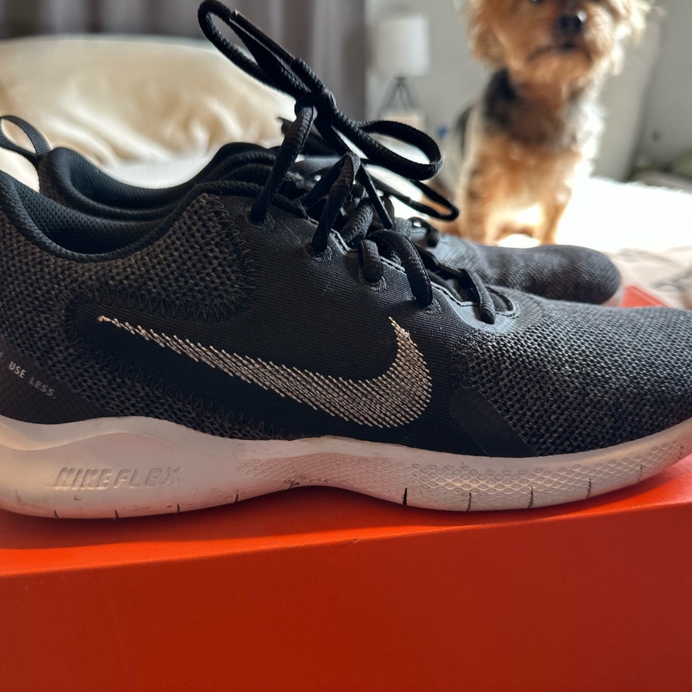 Nike Black Flex Shoes